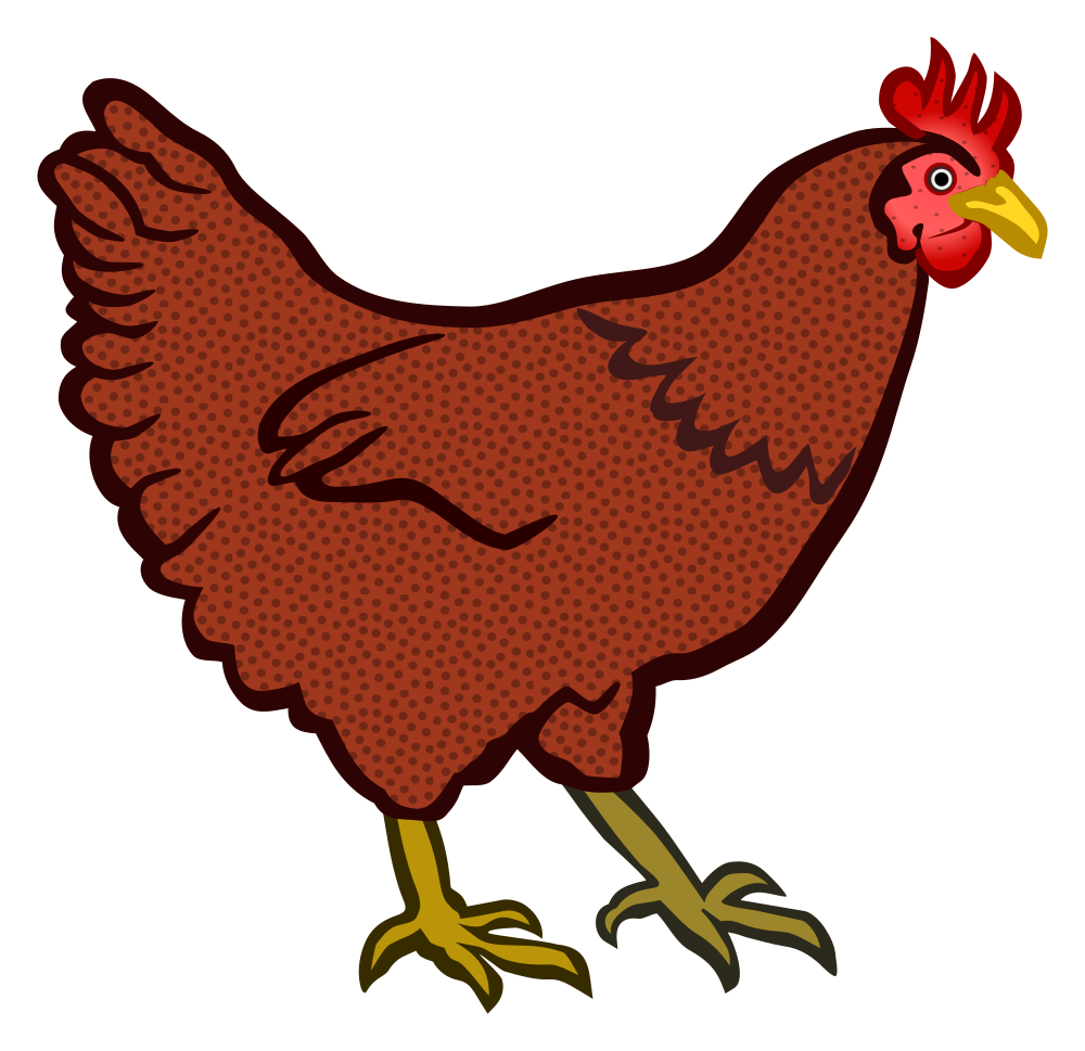  Gambar  Ayam  Cartoon Gambar  Stu